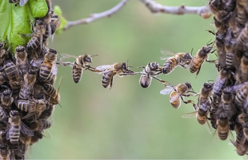 Generic business image for news article