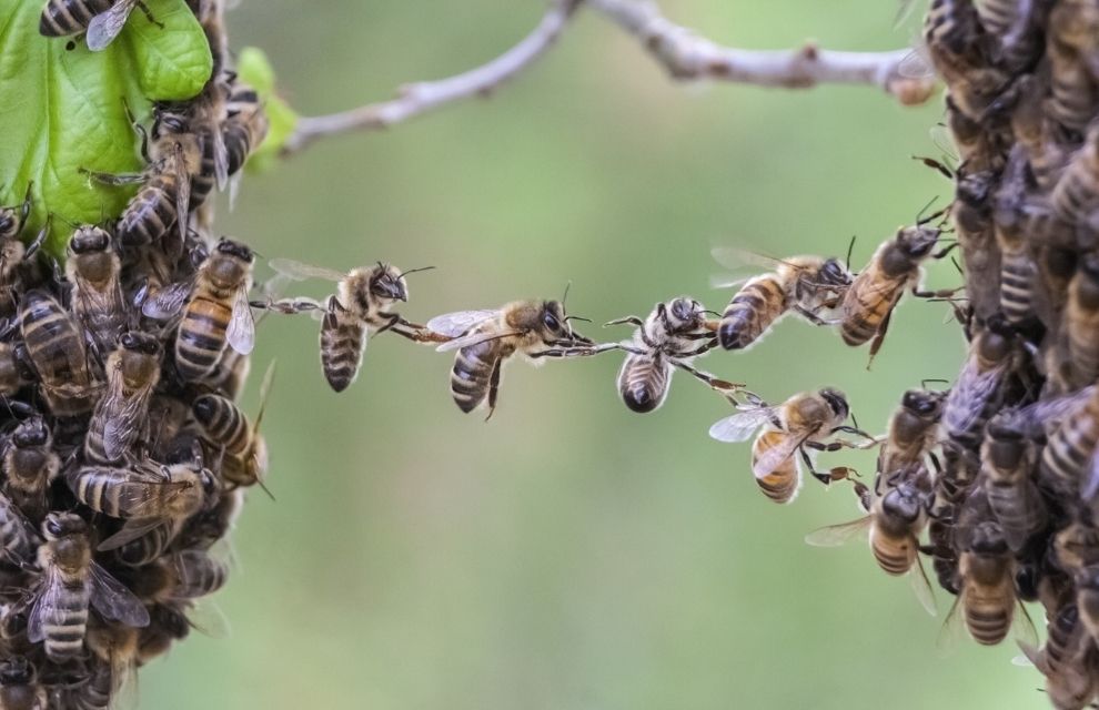 Generic business image for news article