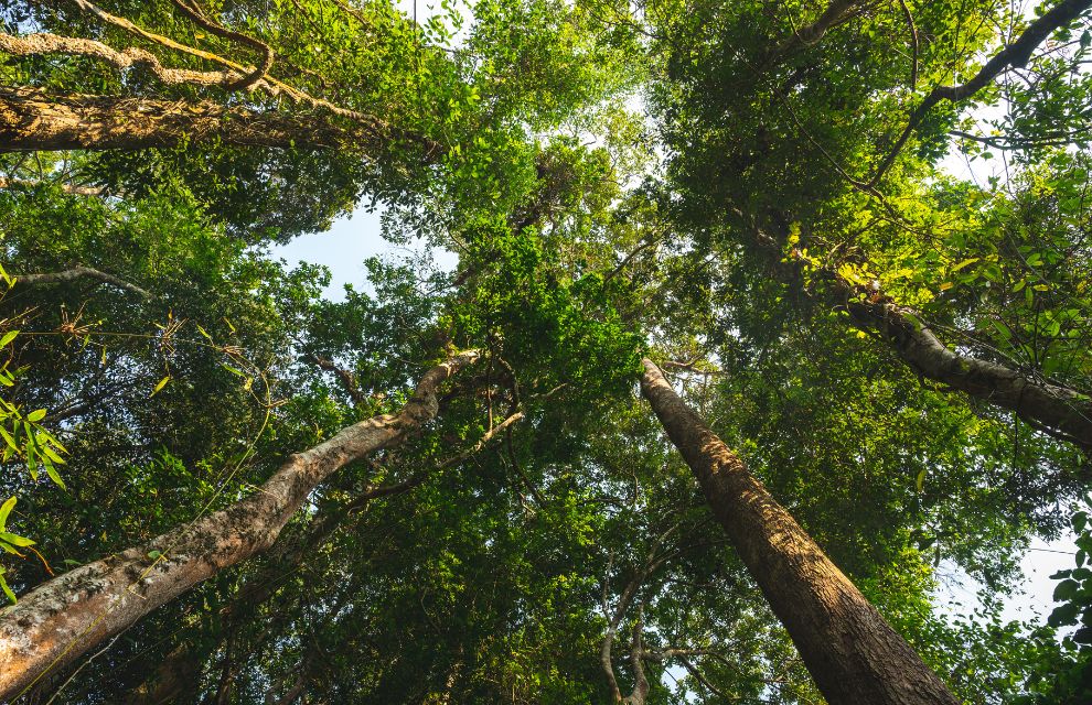 Generic business image for news article