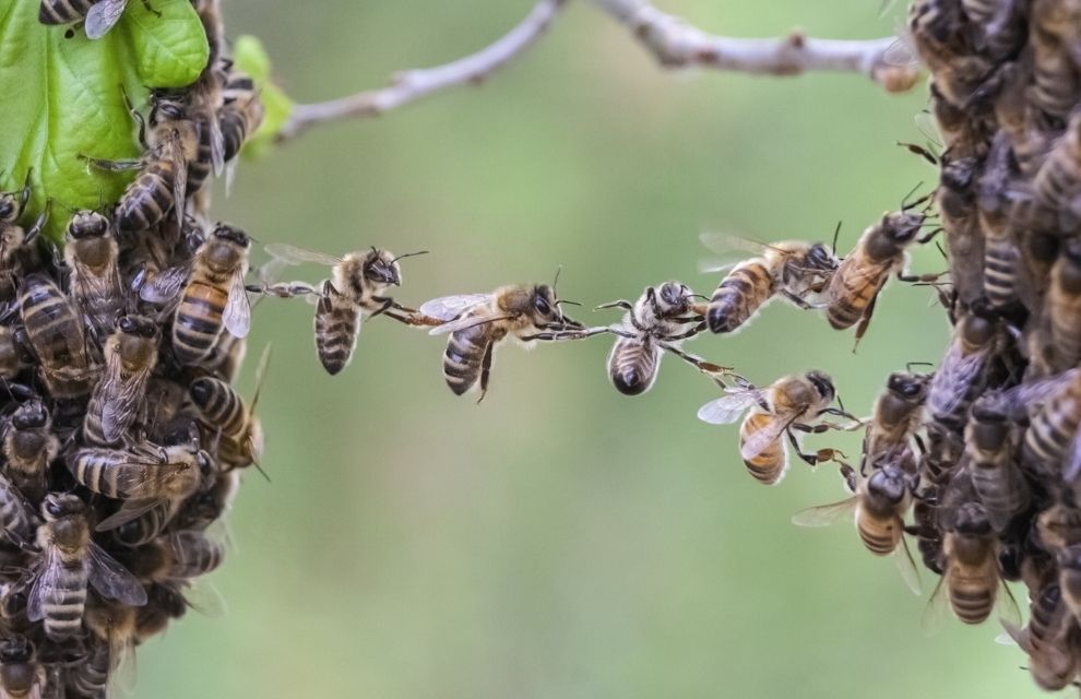 Generic business image for news article