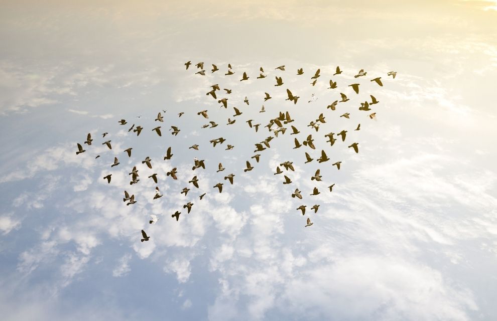 Generic business image for news article