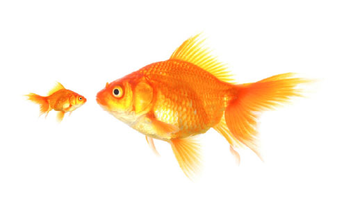 Generic business image for news article